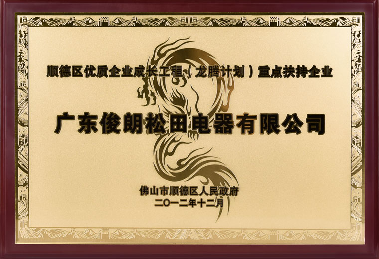 重點扶持企業(yè)