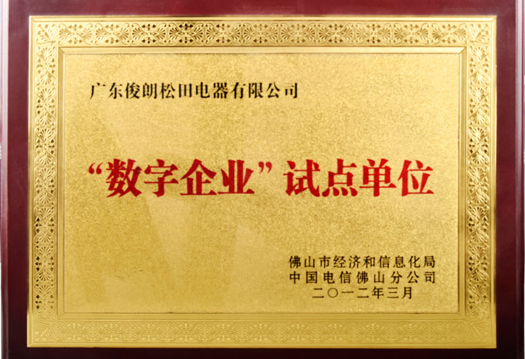 “數(shù)字企業(yè)”試點單位