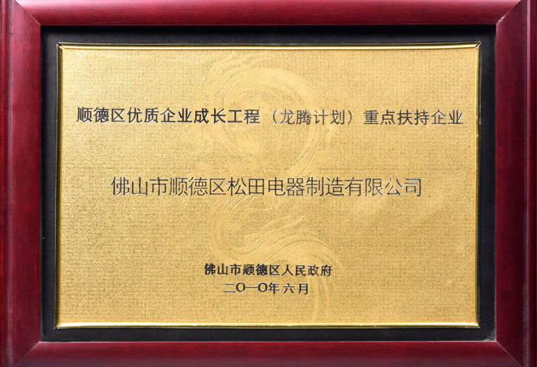 重點扶持企業(yè)